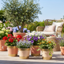 kohteita Metallinen kukkaruukku/kasviruukku, Ø17cm, korkeus 14,5cm, 4 kpl