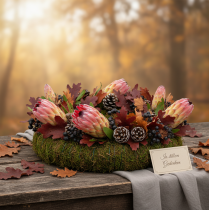 kohteita Compacta Pink 25 kpl