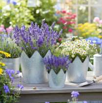 kohteita Ruukun kruunu metallinen koristeellinen sinkki Ø21.5/19.5/17cm 3 kpl:n setti