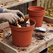 kohteita Ruukku muovia Ø29cm 10kpl