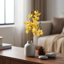 kohteita Pieni orkidea Phalaenopsis tekokeltainen 30cm