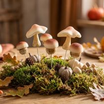 kohteita Koristesienet ruskeiden koristesienien kiinnittämiseen syksy 3,5/5,5cm 16 kpl