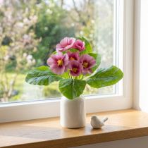 kohteita Primroses tekokukat Cowslips Pinkki H25cm