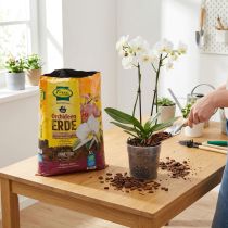 kohteita FRUX Soil orkideamulta (5 l)