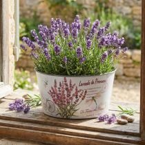 kohteita Planter laventeli muovinen kukkakulho pyöreä Ø21cm K11cm