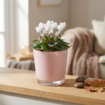 kohteita Kukkaruukku lasinen istutusastia vaaleanpunainen lasinen ämpäri Ø10cm K8.5cm