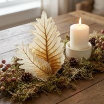 kohteita Oak Leaf valkaistu 35 kpl