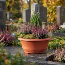 kohteita Muovinen kukkakulho Ø20cm kukkakulho terrakotta 5 kpl