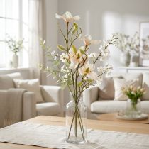 kohteita Magnolia persikka 85 cm