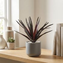 kohteita Aloe Vera keinotekoinen violetti 26cm