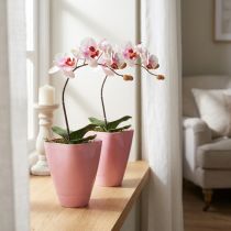 kohteita Kukkaruukku, muovimaljakko, orkidearuukku, pinkki, 16,5 cm korkea, 2 kpl