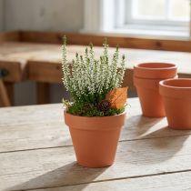 kohteita Kukkaruukkusavi Ø8cm korkea 7cm 10kpl
