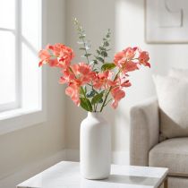 kohteita Orkidea Mokara Lohi 50cm 6 kpl