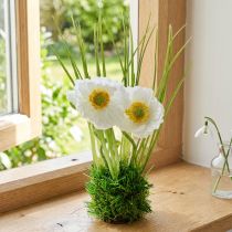 kohteita Unikko valkoinen ruohossa 23cm