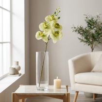 kohteita Orkidea Keinotekoinen Keltainen Vihreä Phalaenopsis 85cm