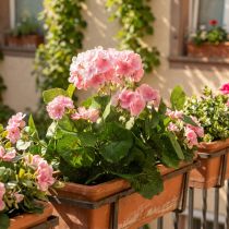 kohteita Geranium tekokukka Vaaleanpunainen geraniumpensas keinotekoinen 7 kukkaa H38cm