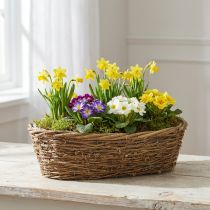 kohteita Luonnonvärinen viiniköynnösruukku, soikea, 40x19x11.5cm