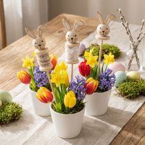 kohteita Flower Stick Rabbit Wood Natural, Ruskea, Valkoinen L32cm 8 kpl