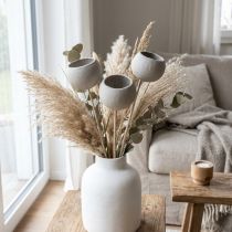 kohteita Kuivakukkia koristeelliset kellokupit varressa harmaa 37cm 3 kpl