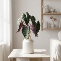 kohteita Alocasia arrow lehtivihreä, violetti keinokasvi H48cm