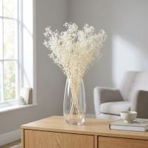 kohteita Gypsophila valkoinen kuivattu ruoho koristevoide 65-70cm 100g