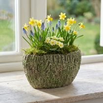 kohteita Planter betoni soikea antiikki look vihreä, ruskea 24×14×13cm