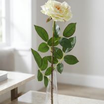 kohteita Keinotekoinen ruusu, koristeruusu, silkkikukka kermavalkoinen, vihreä L72cm Ø12cm