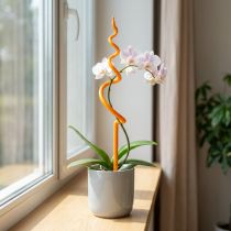 kohteita Orkideakeppi, muovia, oranssi, kiipeilyapu orkideoille, korkeus 64 cm