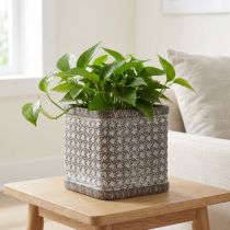 kohteita Istutuskone Keraaminen kukkaruukku 12×12×12cm
