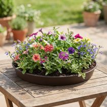 kohteita Kasvirengas "Rondino" Ø35-55cm, 1kpl