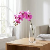 kohteita Keinotekoinen orkidea Phalaenopsis Orchid Pink 78cm