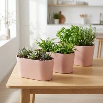 kohteita Kasvikulho soikea koristekulho muovia vaaleanpunainen ruskea 20×10×11cm 3kpl