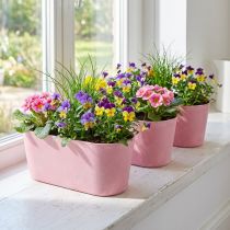 kohteita Istutusvene istutuskulho soikea vaaleanpunainen 27×11×10cm 3kpl