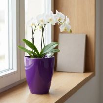 kohteita Orkidearuukku, kiiltävä, Ø12,5cm, violetti