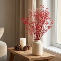 kohteita Gypsophila Gypsophila kuivatut kukat Punainen 50cm 55g