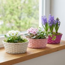 kohteita Sirukori pyöreä purppura/valkoinen/pinkki Ø25cm 6 kpl