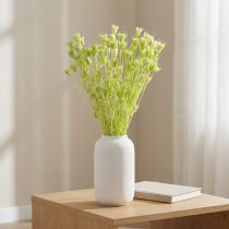 kohteita Kuivattuja Nigellan kukkia, ihastuttava luonnollinen huonekoriste kotiin, 70 cm, 50 g