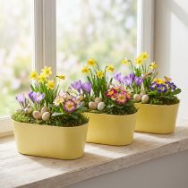 kohteita Kasvikulho soikea koristekulho muovinen keltainen 27×11×10cm 3kpl