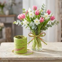 kohteita Raffia nauha vaaleanvihreä, pinkki, poly raffia 200m