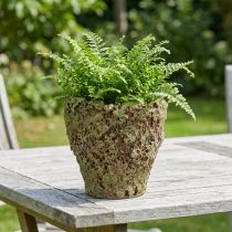 kohteita Ruukku rustiikkinen sammaleenkuvio Ø17cm K16.5cm
