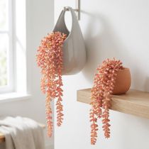 kohteita Sedum 'Rubin' riippukasvi – koristeellinen, helppohoitoinen mehikasvi 43 cm 3 kpl.