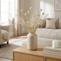 kohteita Kuivat ruohot keinotekoinen pampasruoho allium kerma, beige H60cm
