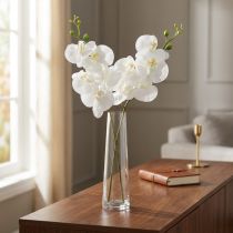 kohteita Valkoinen keinotekoinen orkidea Phalaenopsis Real Touch 85cm