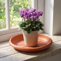 kohteita "Linda" lautanen Ø18cm terrakotta
