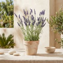 kohteita Laventelipensas keinovioletti 51cm
