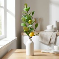 kohteita Koristeellinen sitruunanoksa, kukat, hedelmät, keinotekoiset Välimeren kasvit, K68cm