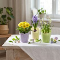 kohteita Ruukku kudottu istutuspaperi vihreä, keltainen, violetti Ø7cm K13cm 12kpl