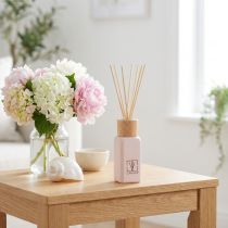 kohteita Huonetuoksu lasipullo tuoksupuikkoja Summer Vibes 100ml