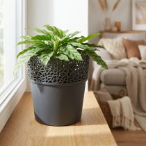 kohteita Istutuskone muovinen kukkaruukku antrasiittia Ø14,5cm K15,5cm