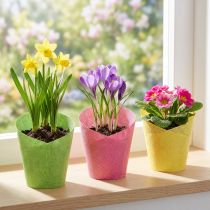 kohteita Istutuspaperi kudottu pinkki, keltainen, vihreä Ø7cm K13cm 12kpl